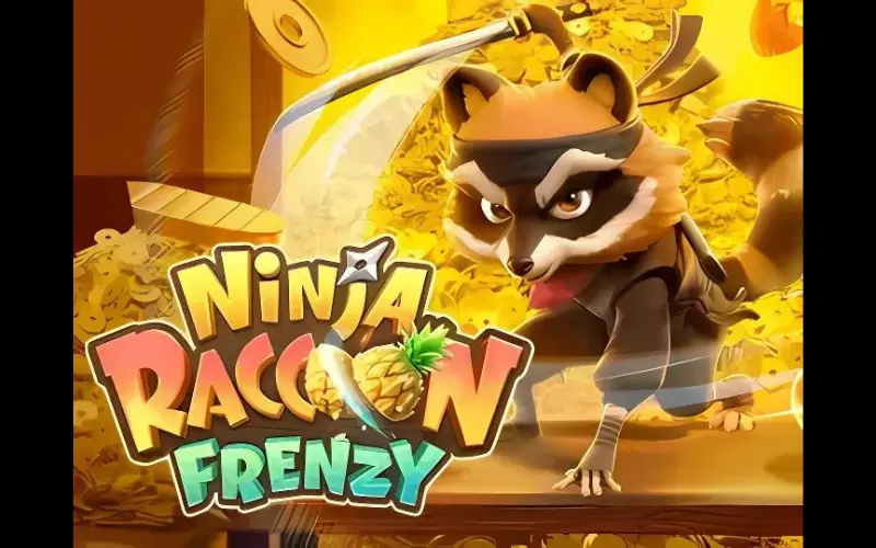 Ninja Raccoon Frenzy
